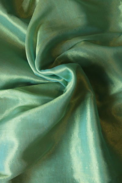 Shimmering (Tissue Saree)