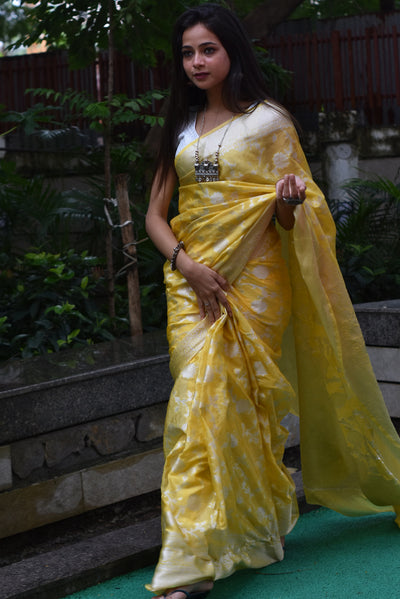 Aarti (Woom silk)